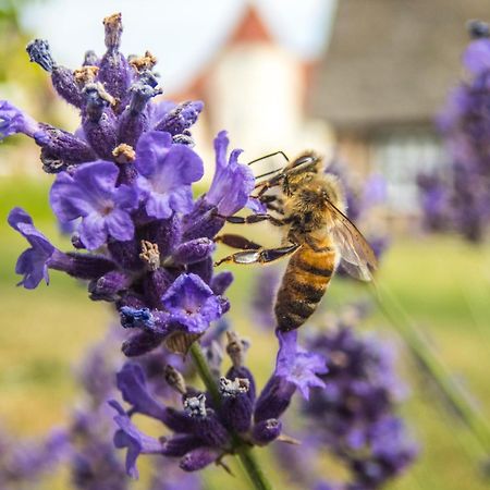 Gl. Avernaes Sinatur Hotel & Konference Ebberup Екстер'єр фото